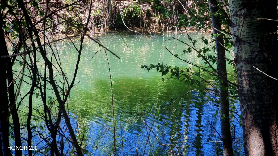 4 Bedroom Property for Sale in Middelburg Rural Eastern Cape